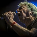 Click to enlarge GutterPunk - Professional Concert Photography